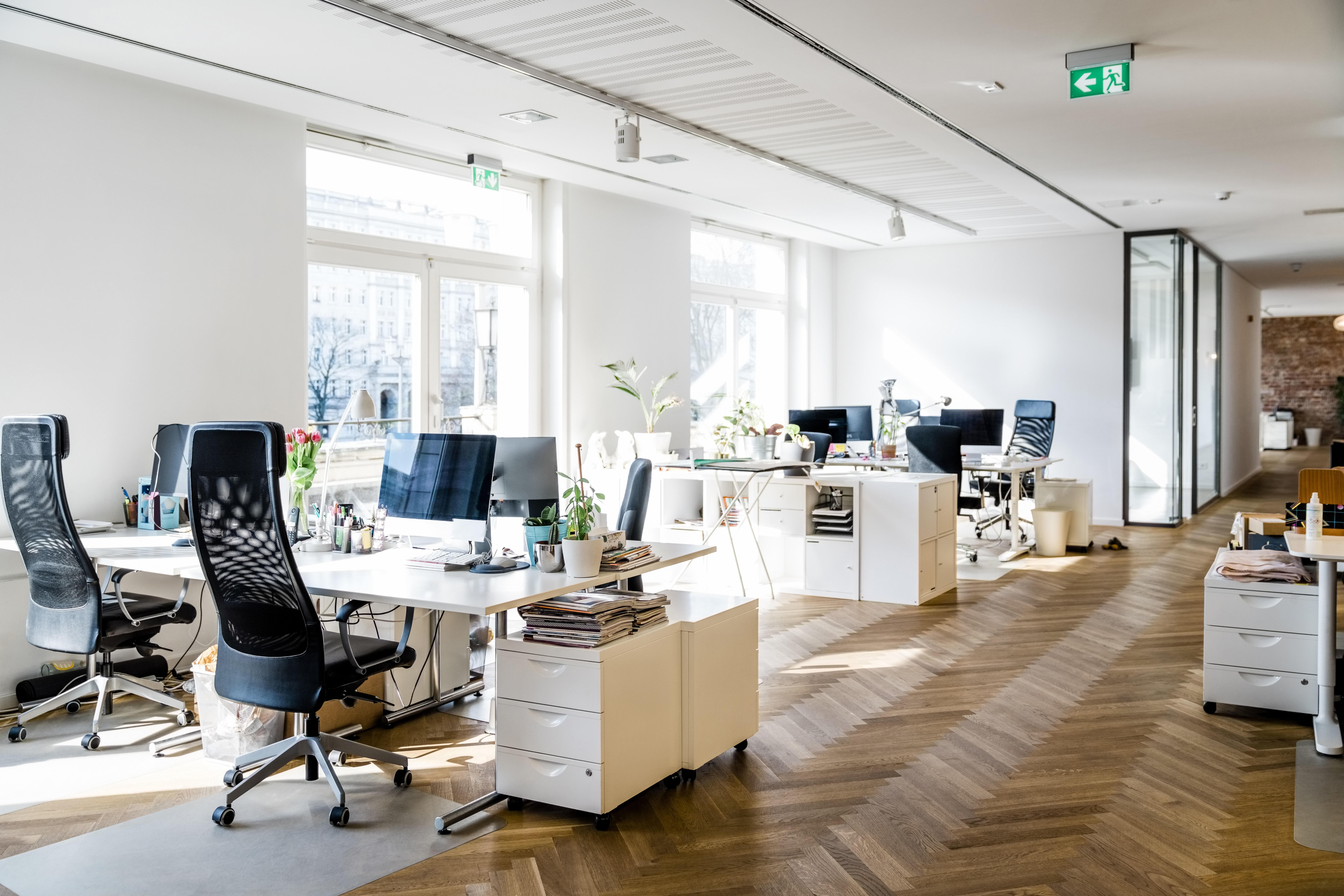 Still life shot of a modern coworking office space. Spacious workplace with desks and computer.